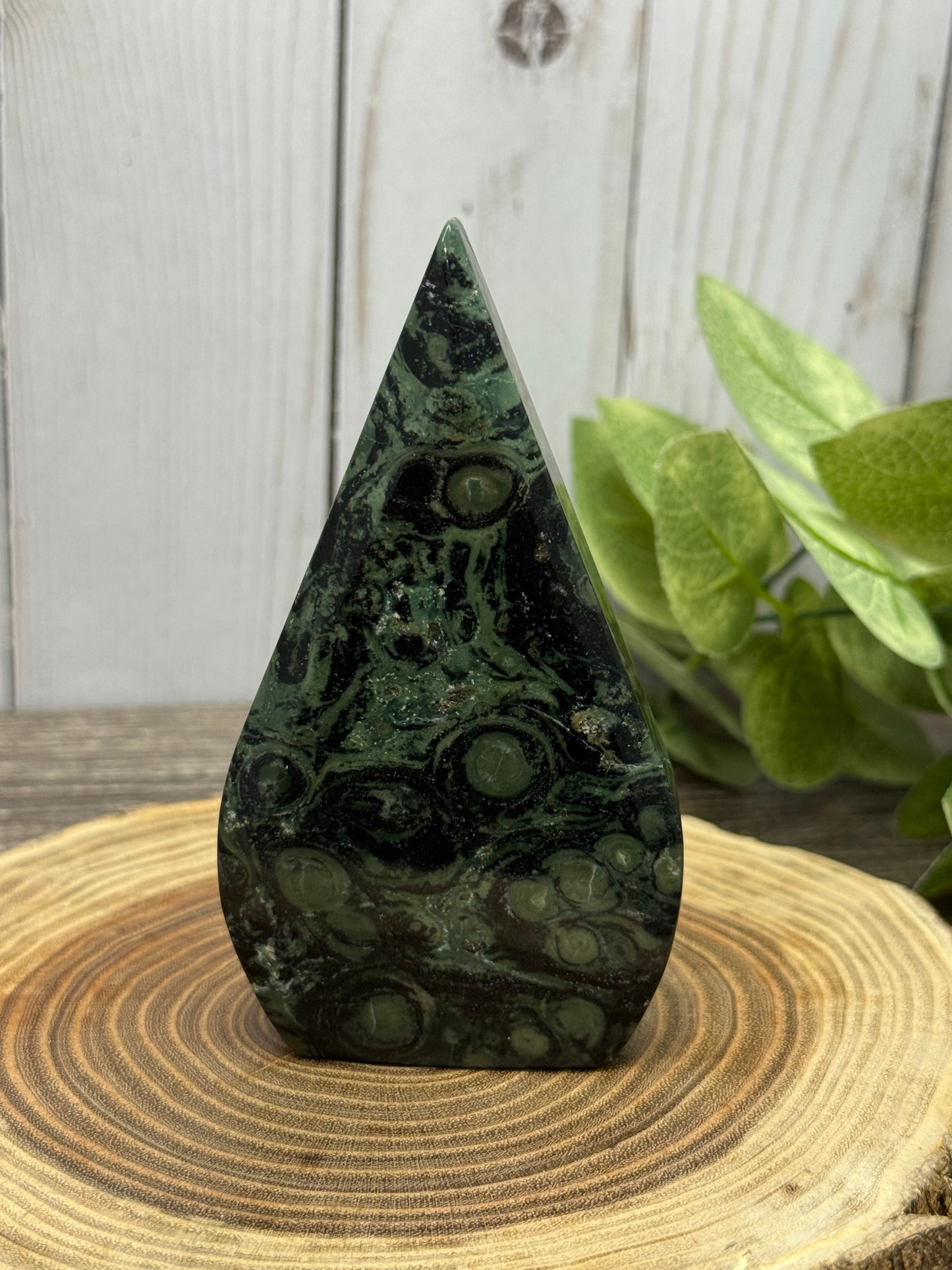 Kambaba Jasper Freeforms
