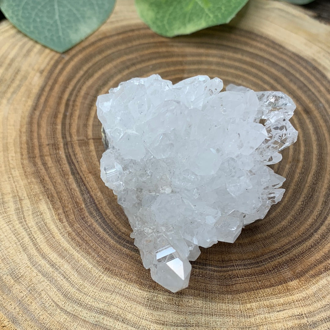 Chrysanthemum Quartz - Cluster