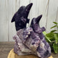 Dolphin Carving