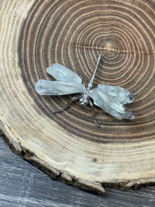 Dragonflies