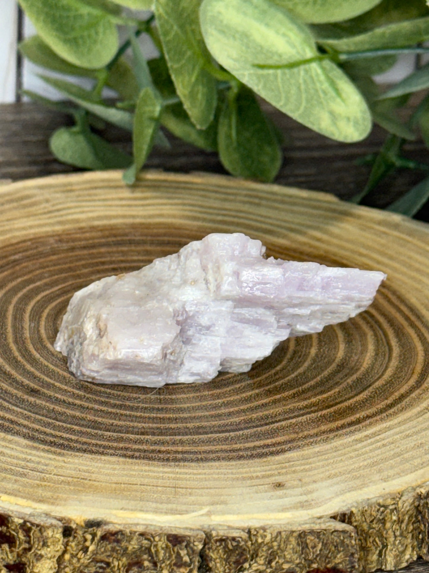 Kunzite - Raw