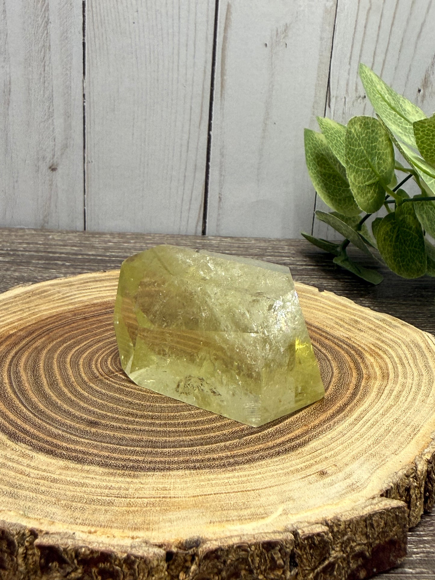 Citrine Freeforms - Rainbow Filled