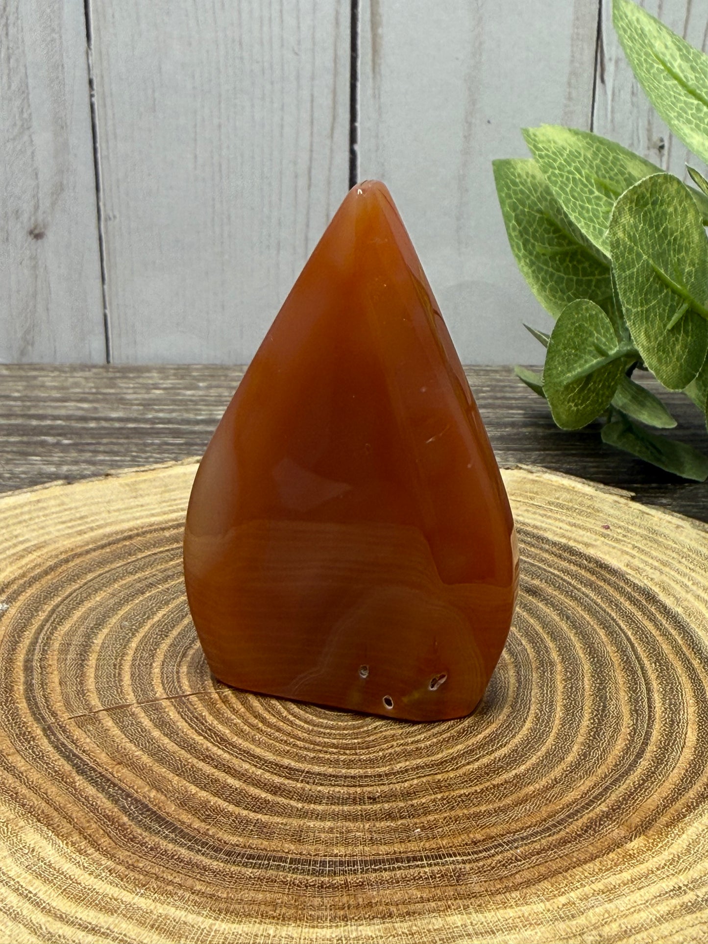 Carnelian Freeforms