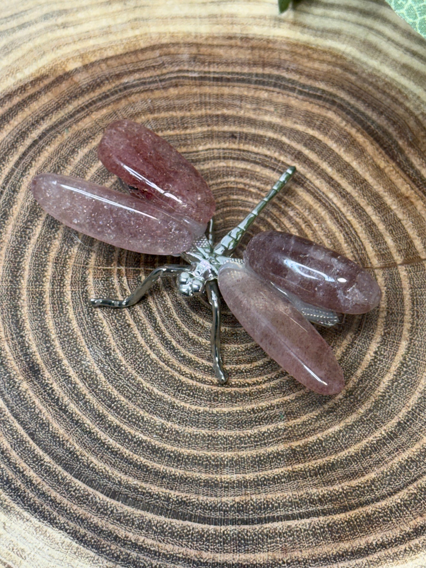 Dragonflies