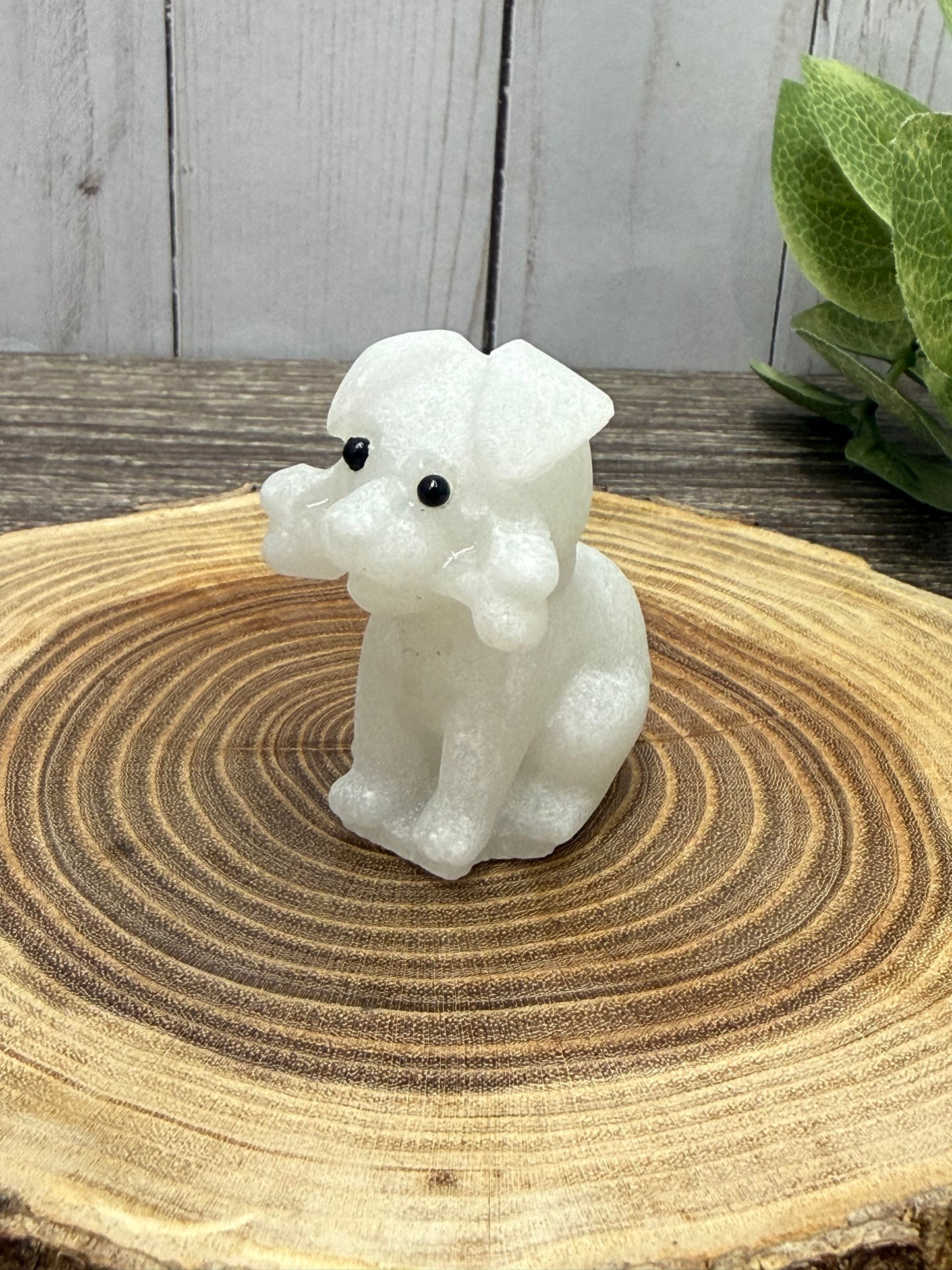 Dog With Bone Carvings