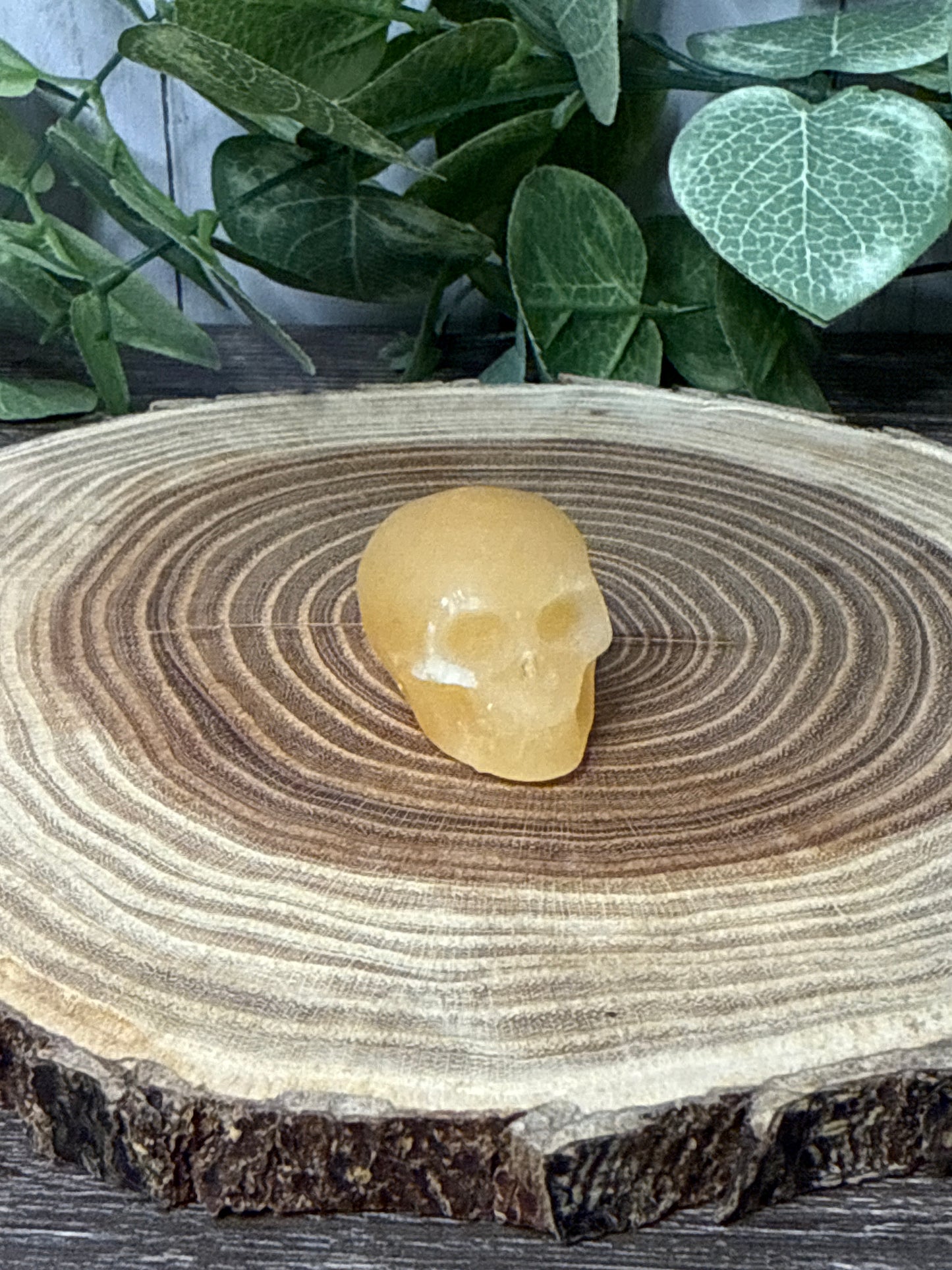 Skull Carvings
