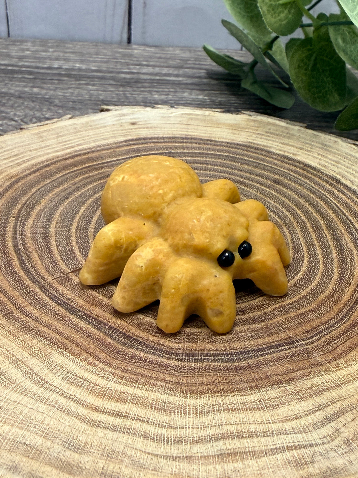 Spider Carving