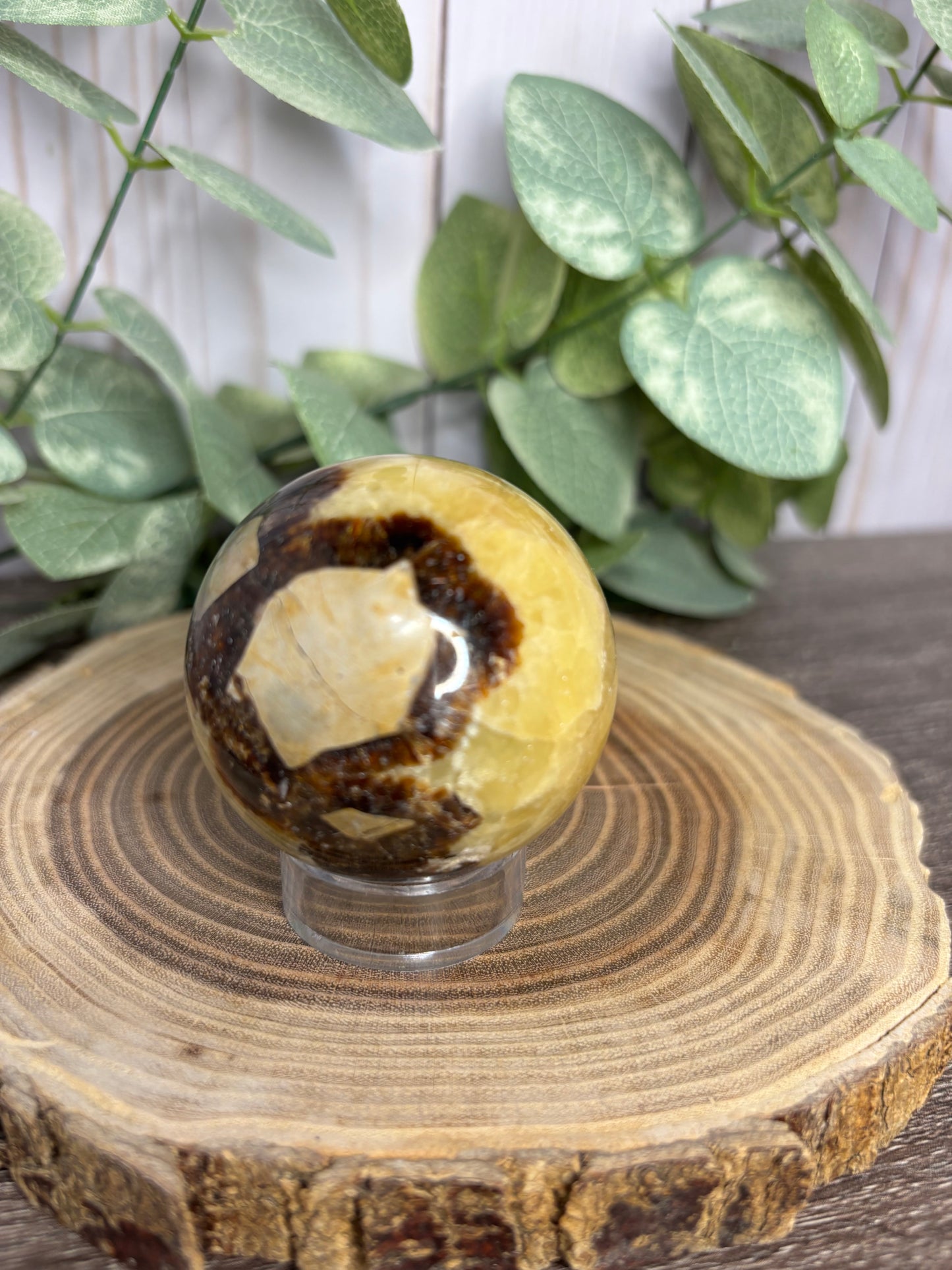 Septarian Spheres