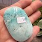 Phoenix Stone Palm Stones