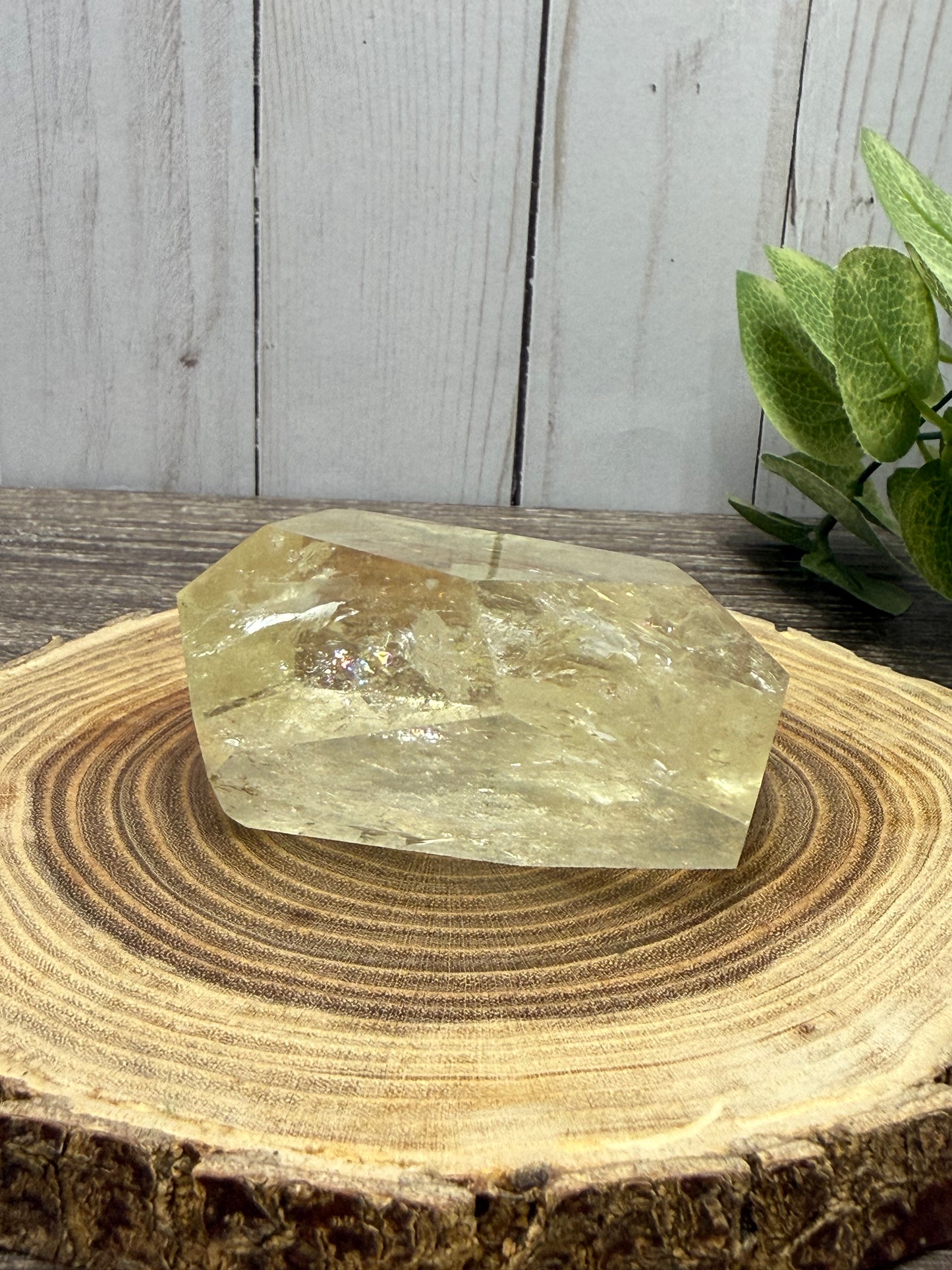 Citrine Freeforms - Rainbow Filled