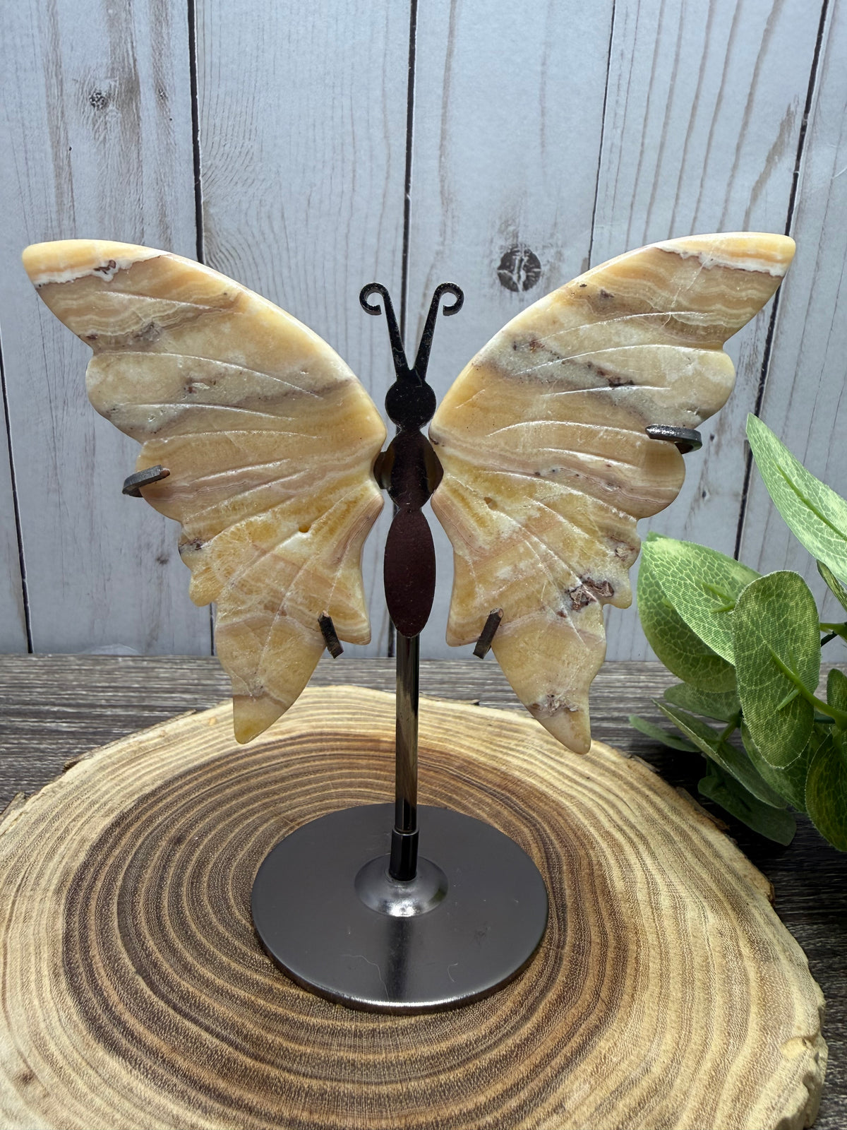 Butterfly Wings on Stand - Orange Calcite