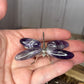 Dragonflies
