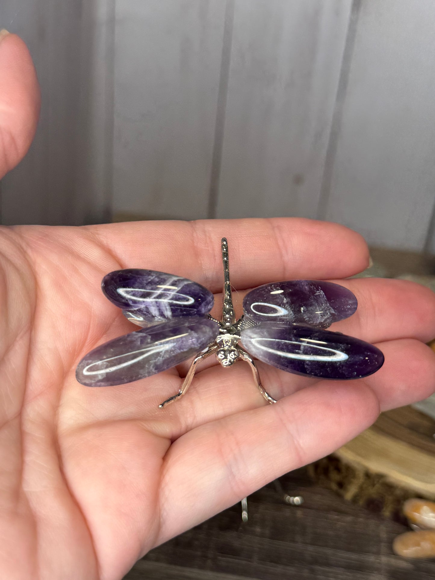 Dragonflies