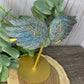 Labradorite Wings Lg