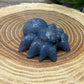Spider Carving