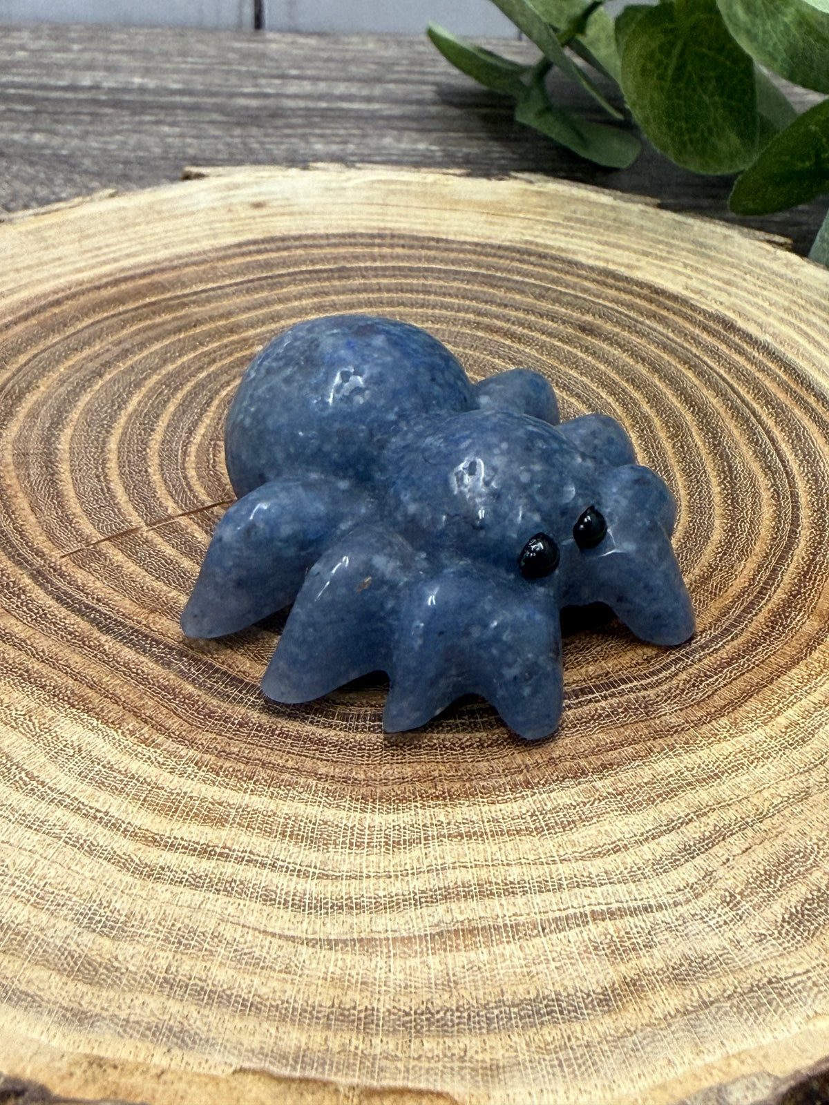 Spider Carving