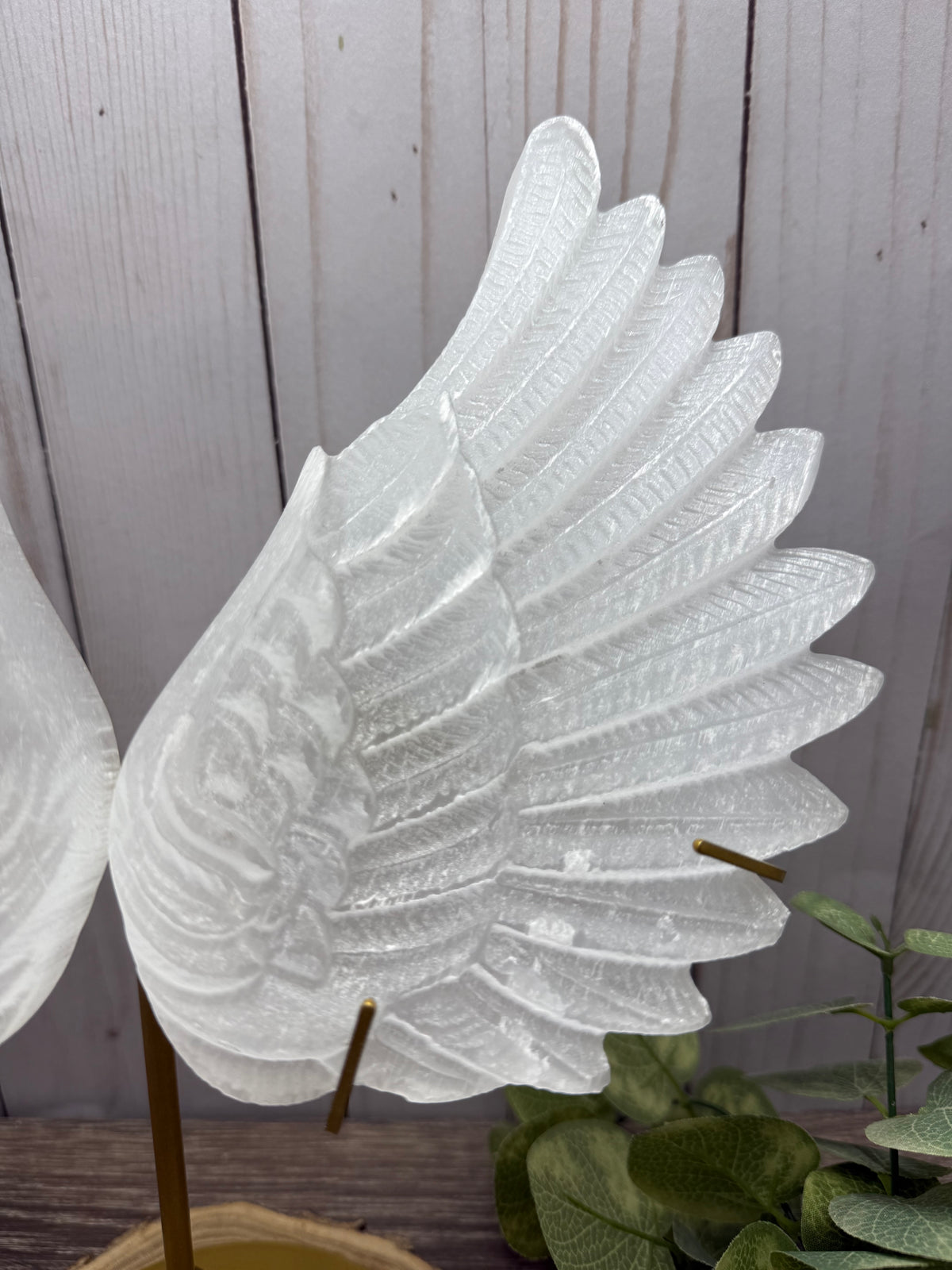 XL Selenite Wings with Stand
