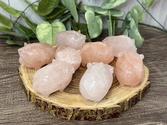Pig with Mohawk Sunglasses - Rose Quartz