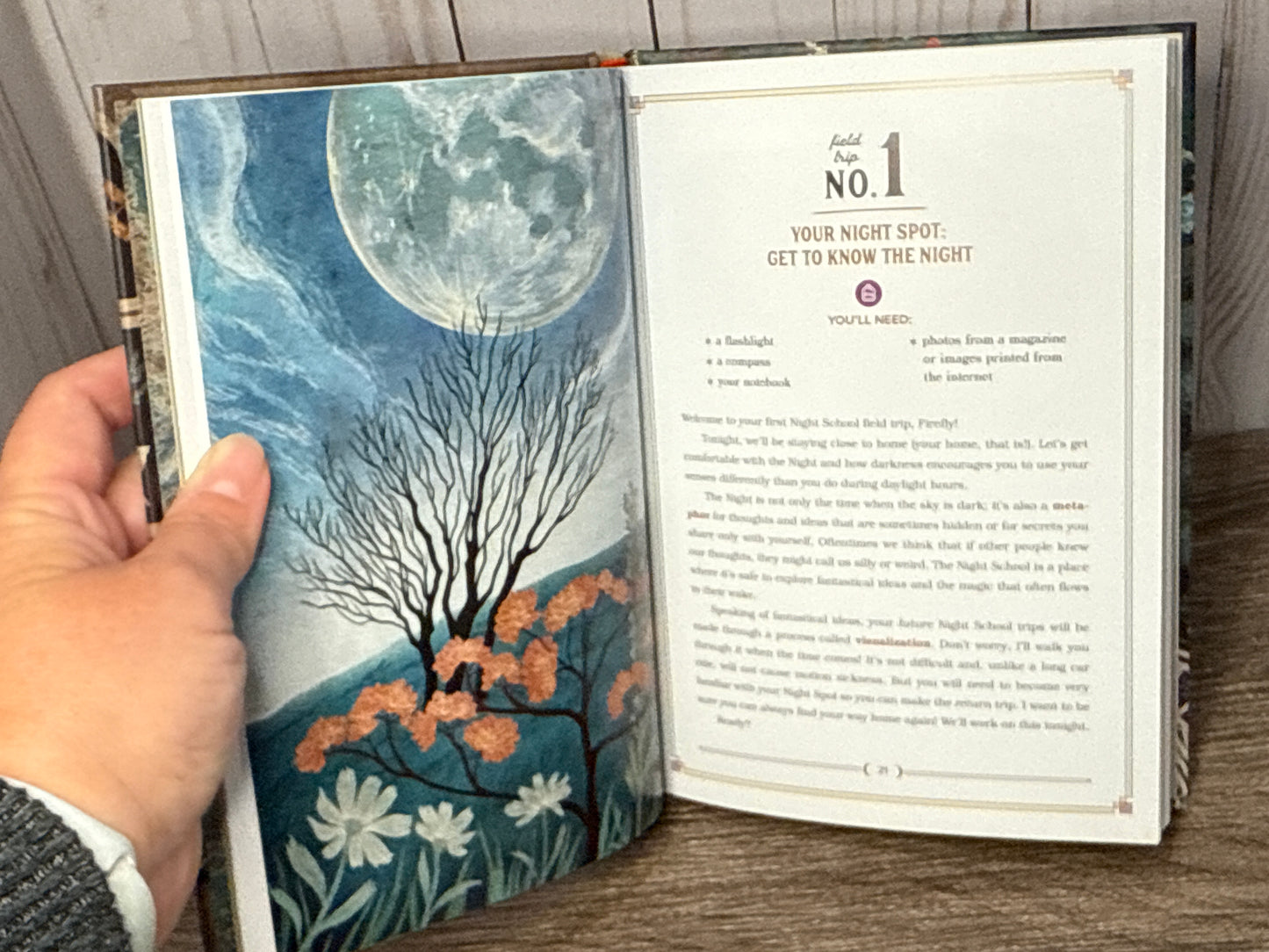 the Night School for Young Mystics: Five Fabulous Field Trips into Moonlight & Magic