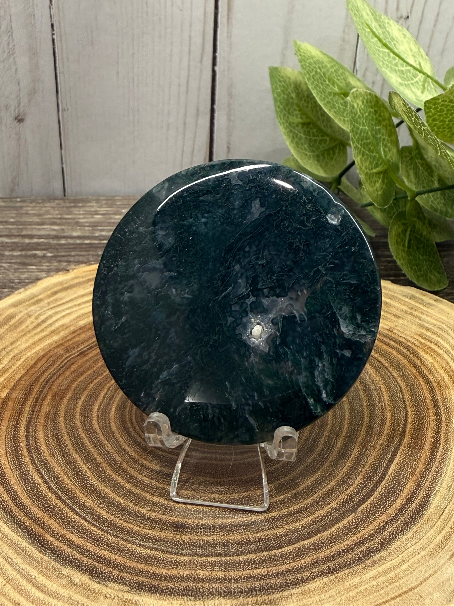 Moss Agate Small Disks