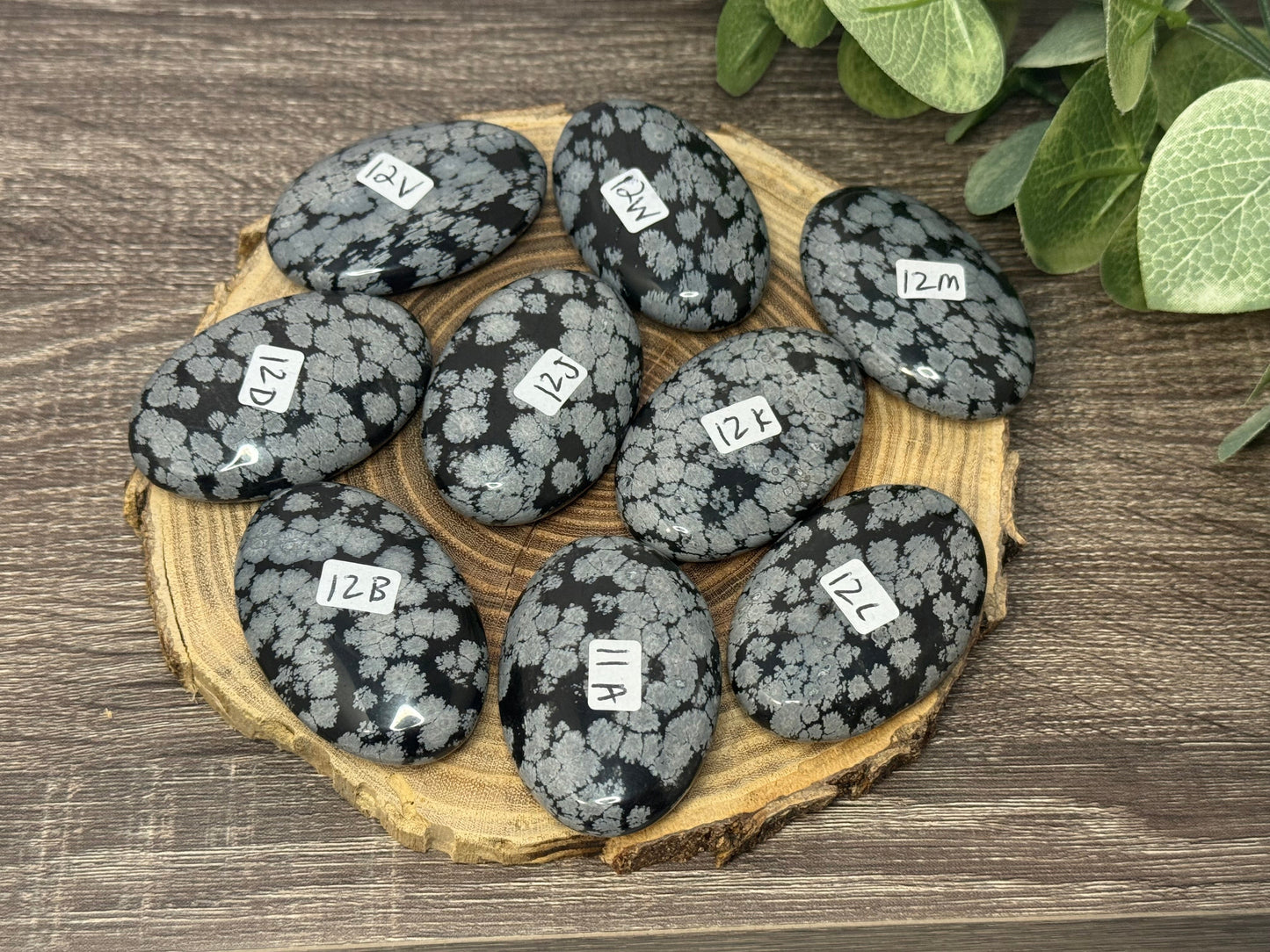 Snowflake Obsidian Palm Stones