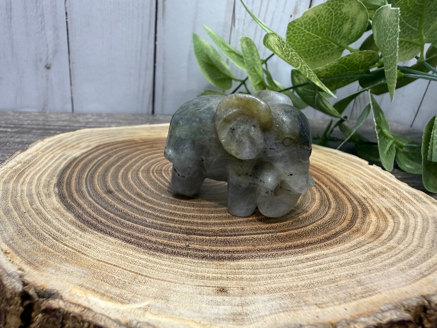 Labradorite Elephant Carvings