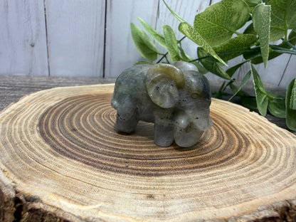 Labradorite Elephant Carvings