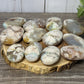 Flower Agate Palm Stones