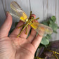 Dragonfly Carving