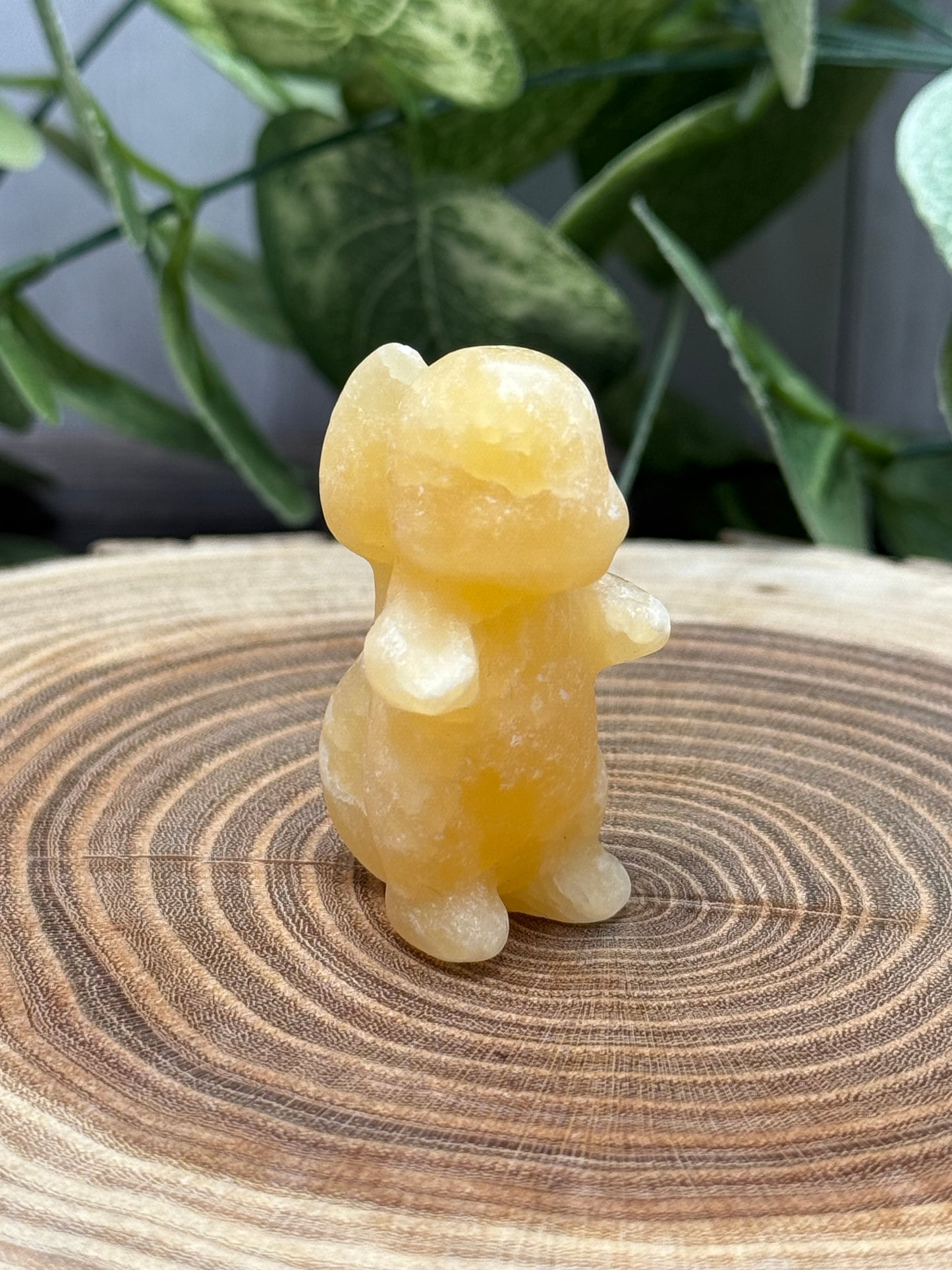 Charmander Carving - Pokemon