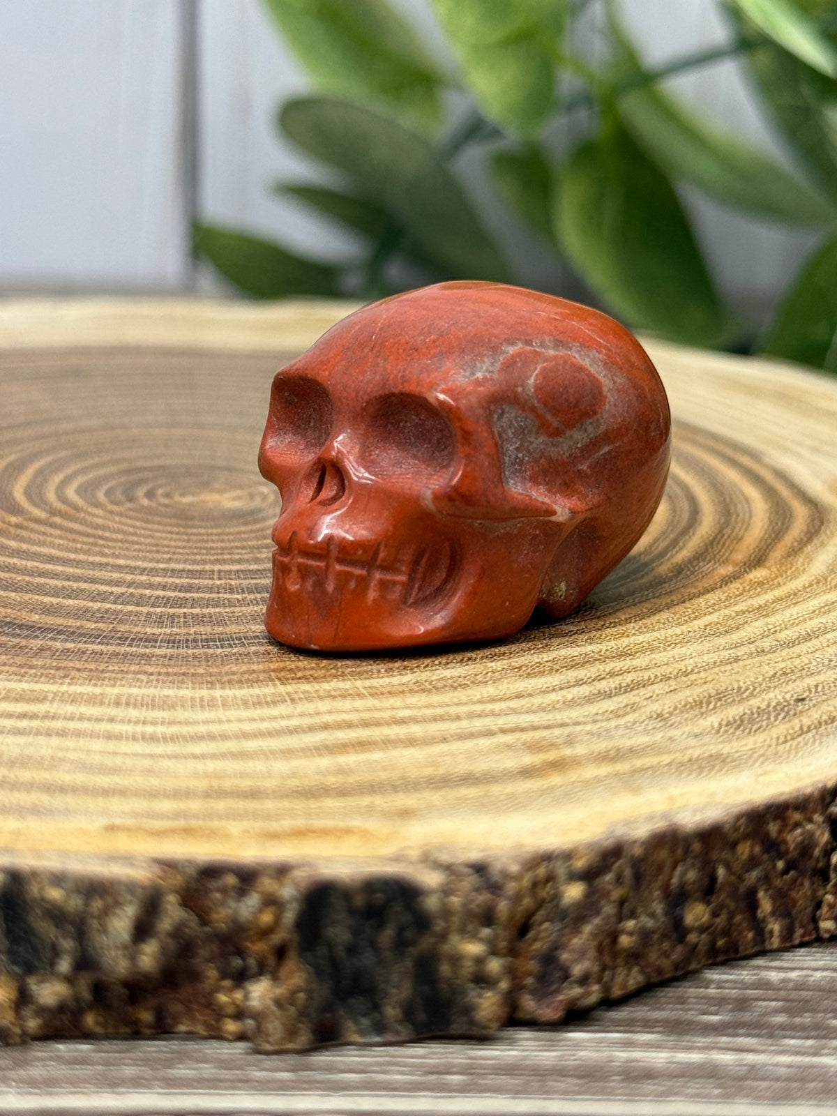 Skull Carvings - small
