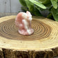 Gargoyle Carvings