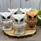 Large Owl Carvings