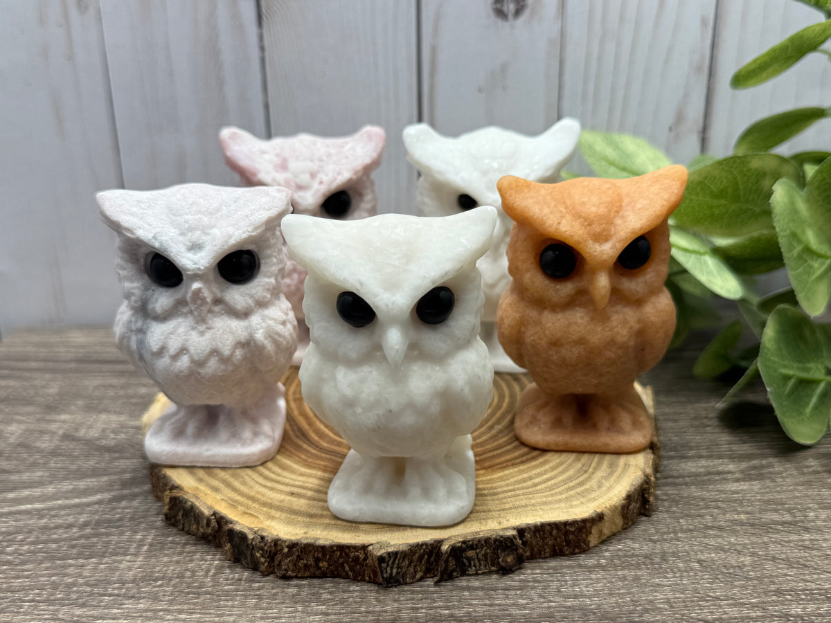 Large Owl Carvings