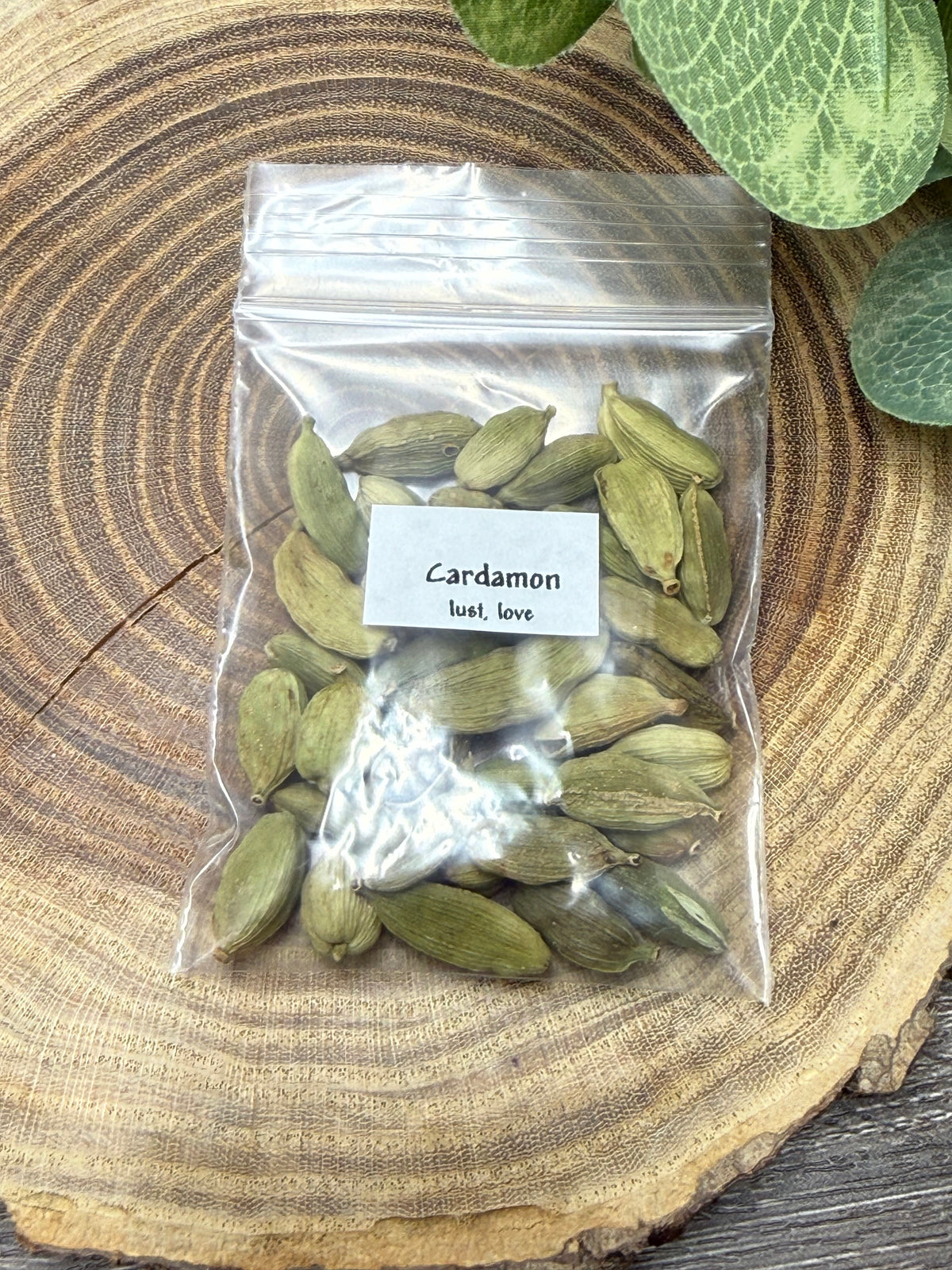 Cardamon - Magick Herbs (Bagged)