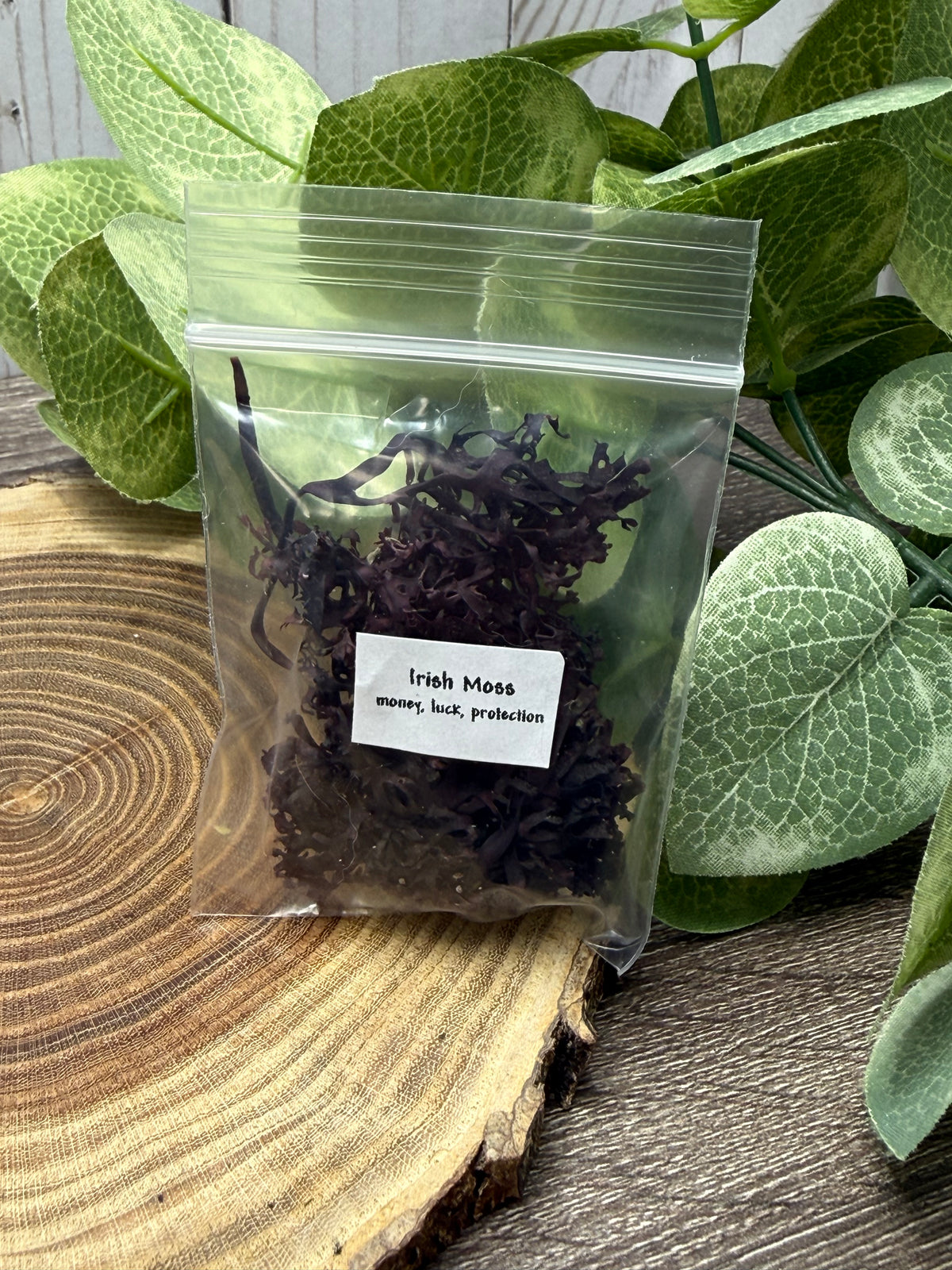 Irish Moss - Magick Herbs (Bagged)