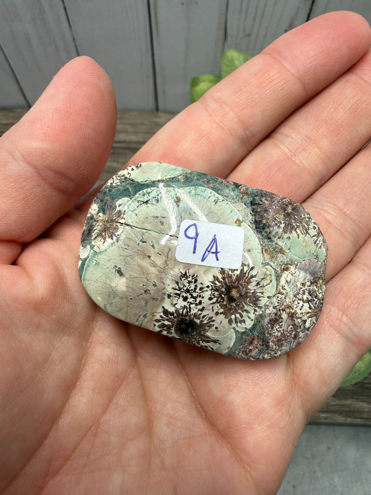 Russian Flower Agate Palm Stones