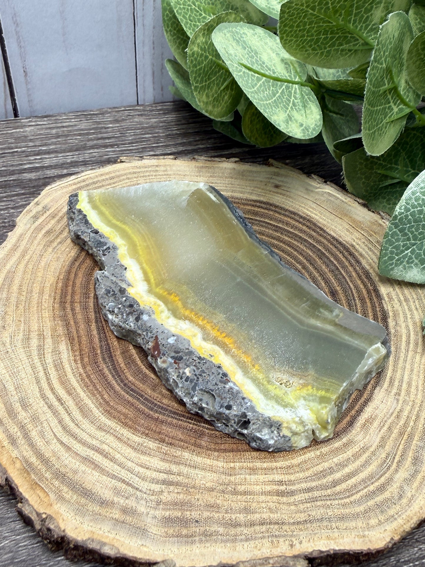 Bumblebee Jasper Slabs