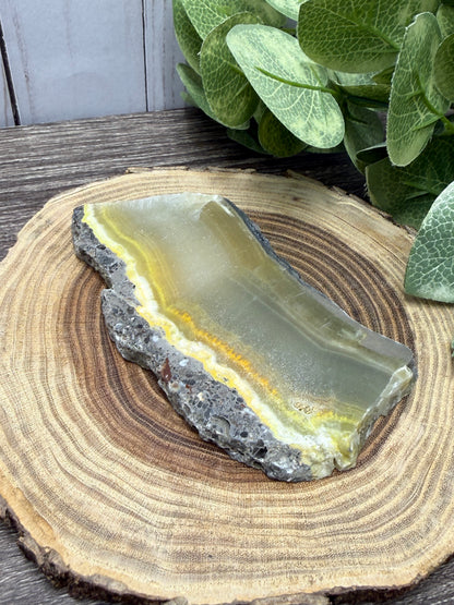 Bumblebee Jasper Slabs