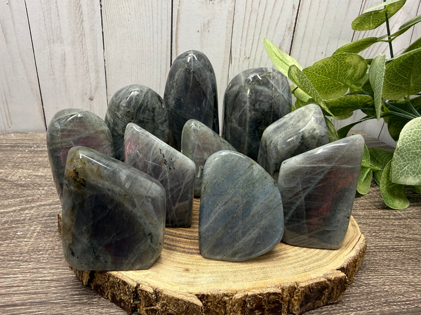 Labradorite Freeforms