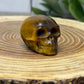 Skull Carvings - small