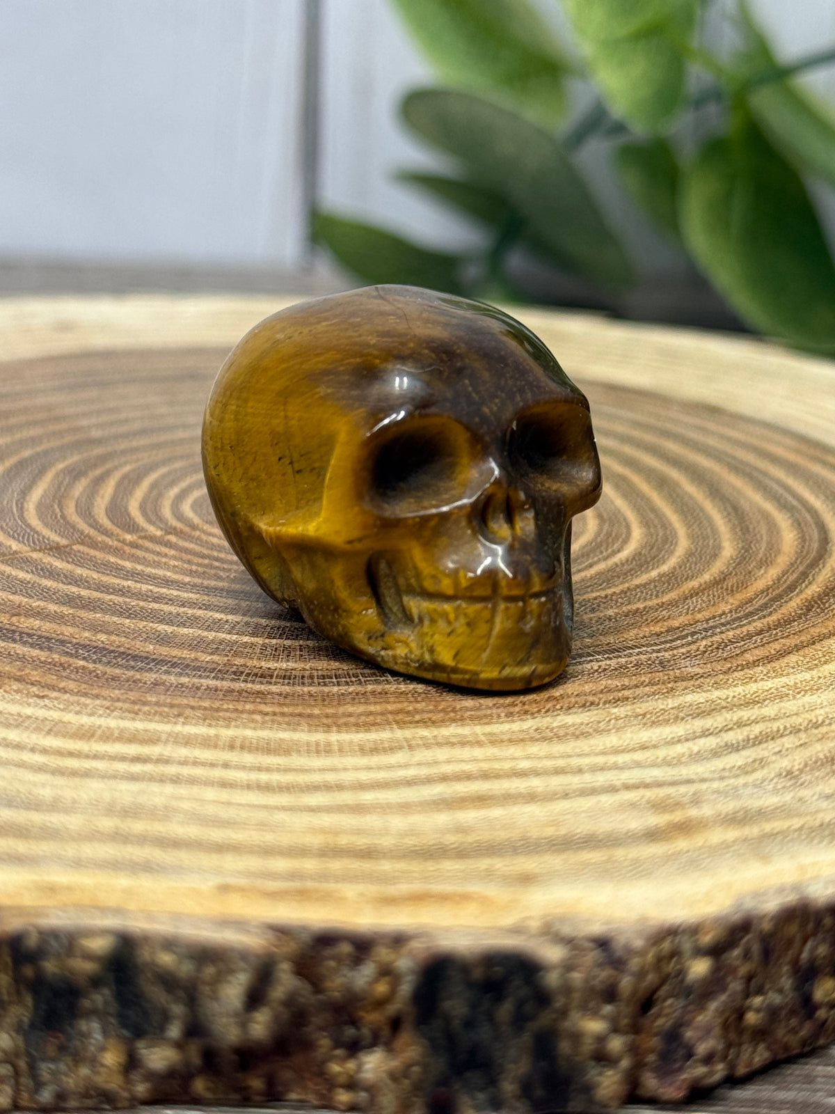 Skull Carvings - small