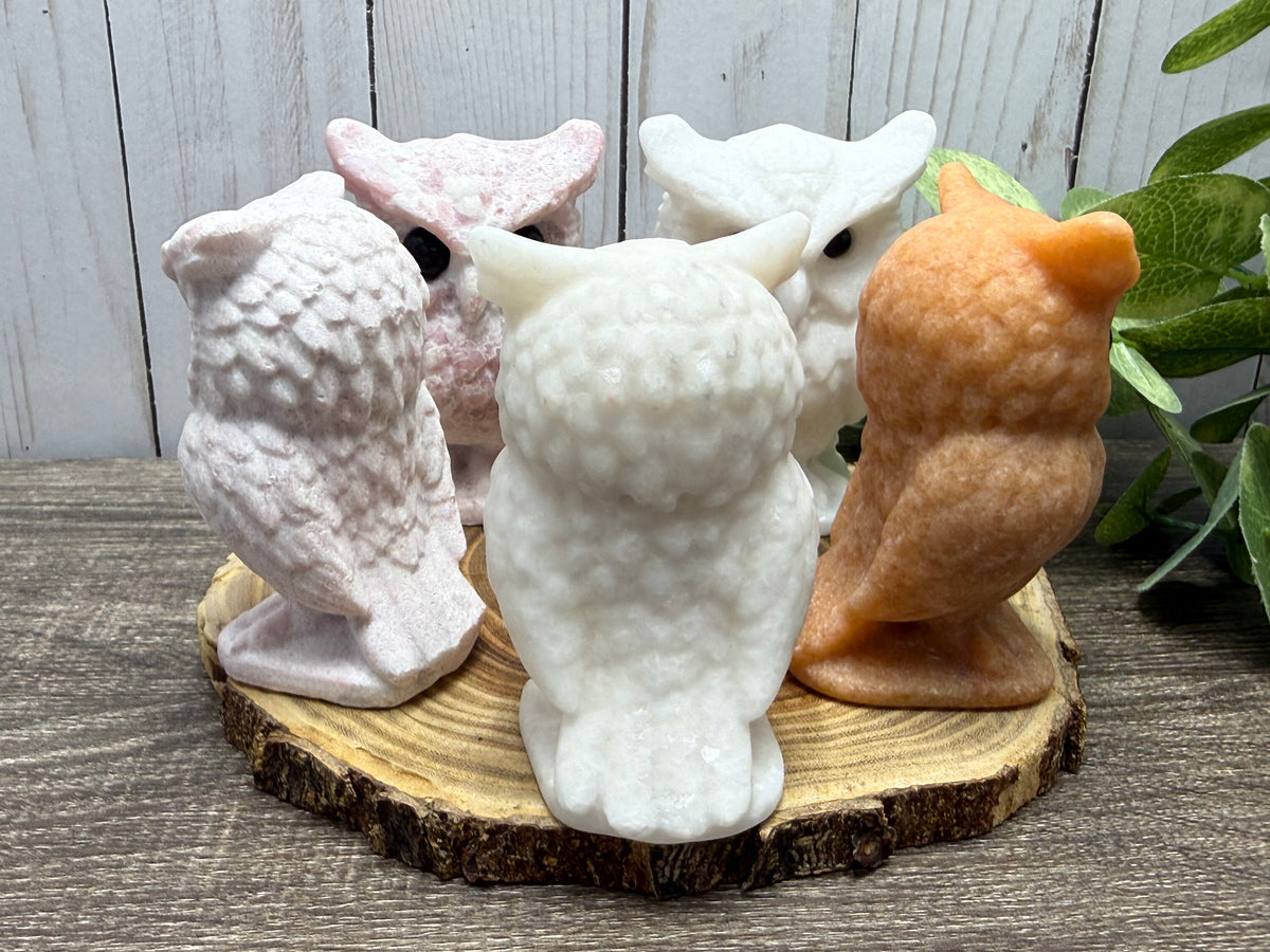 Large Owl Carvings