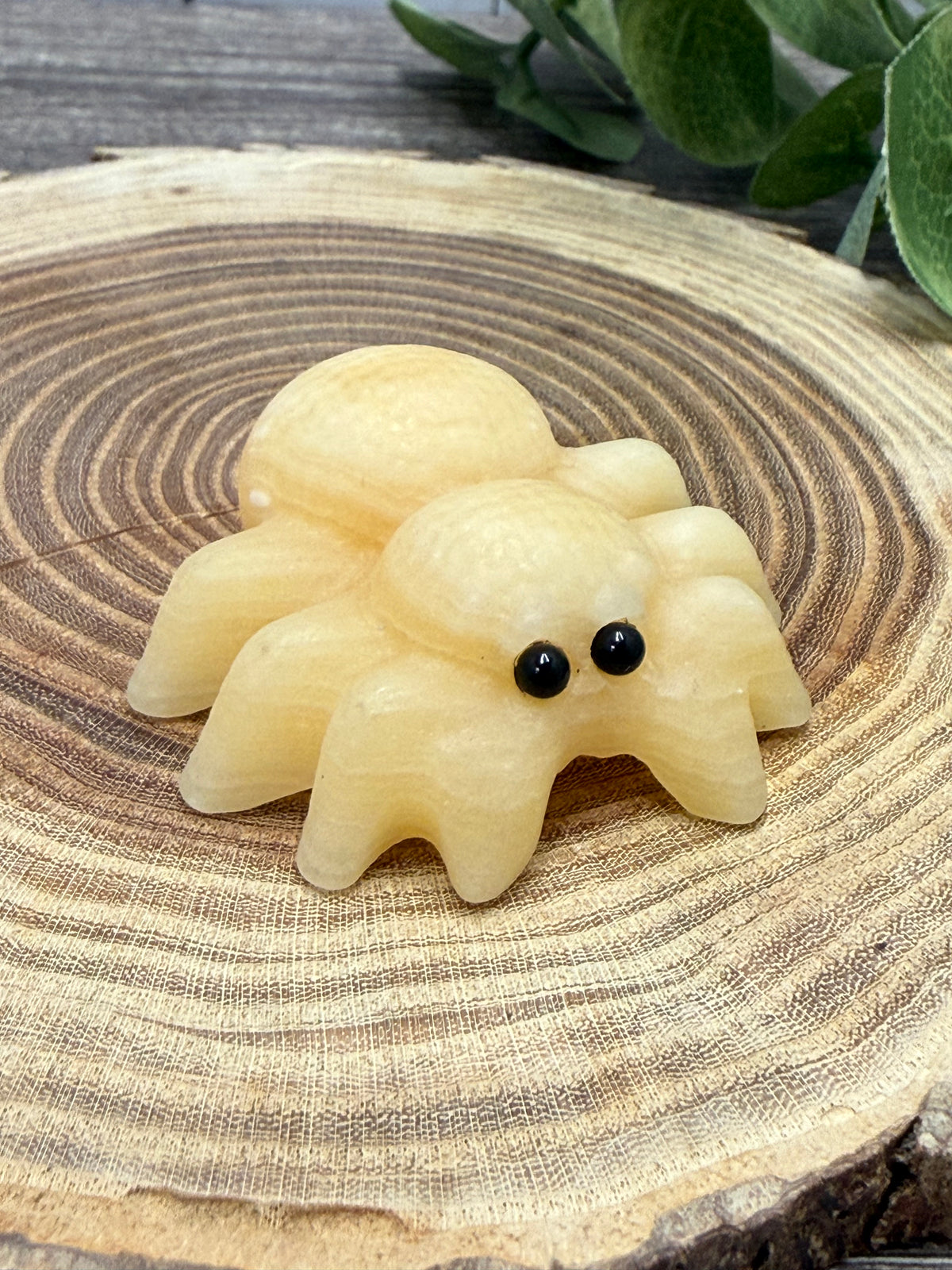 Spider Carving