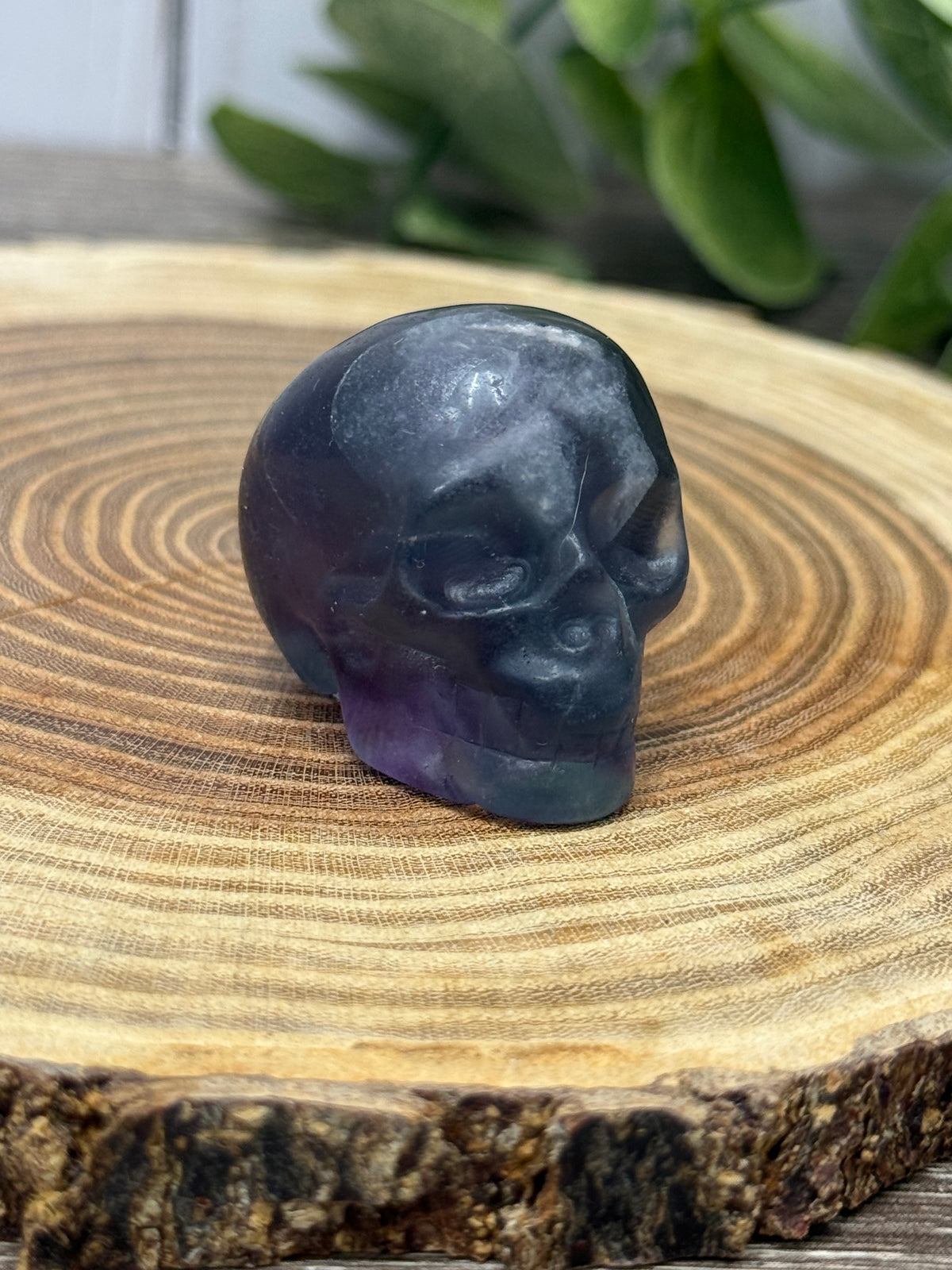 Skull Carvings - small