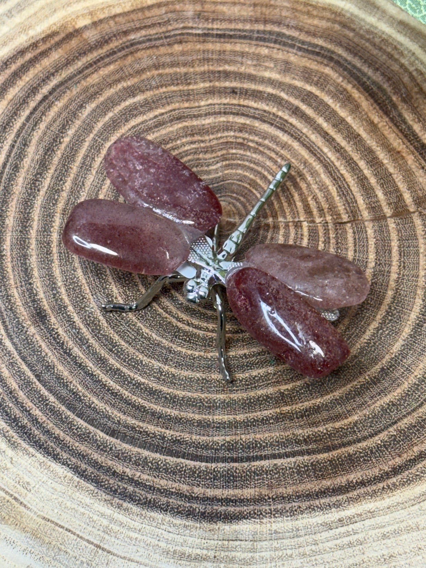 Dragonflies