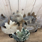 Nine Tailed Fox Carvings on Stand