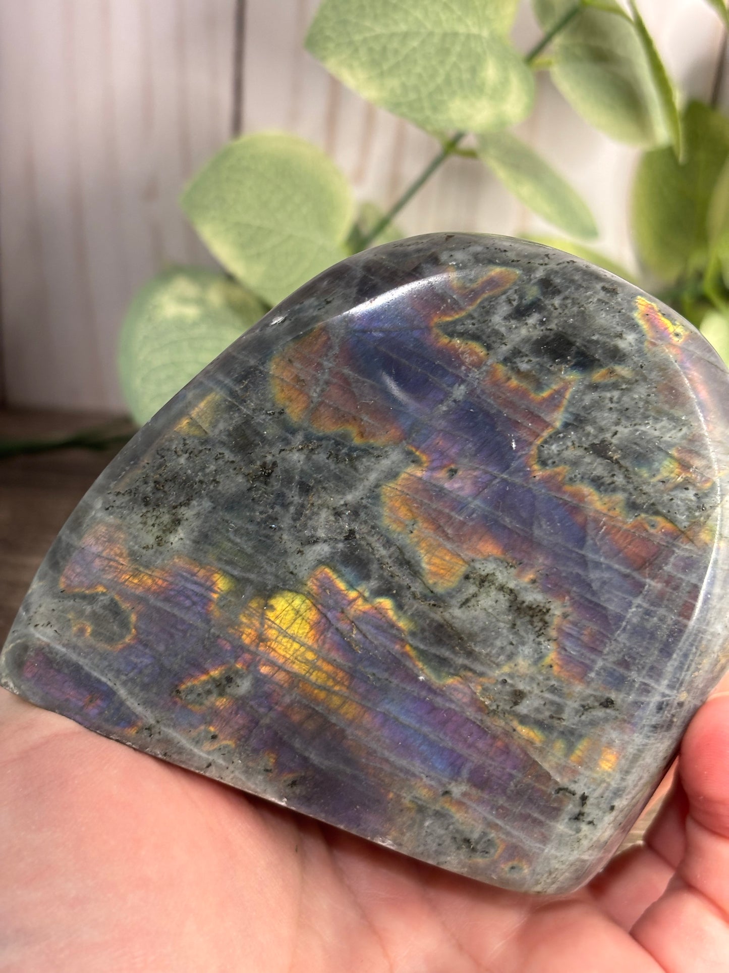 Labradorite Free Forms