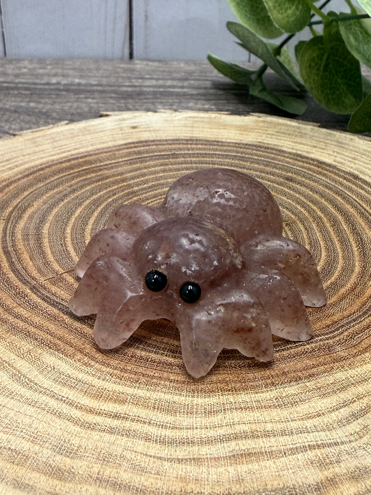 Spider Carving