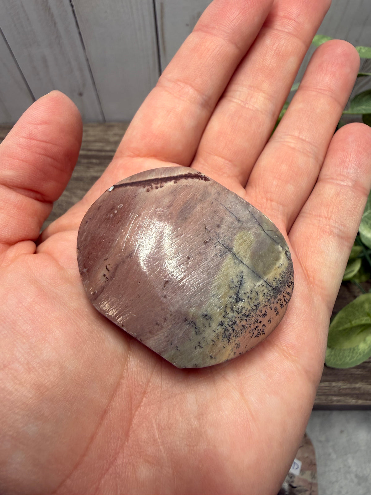 Picture Jasper Palm Stones